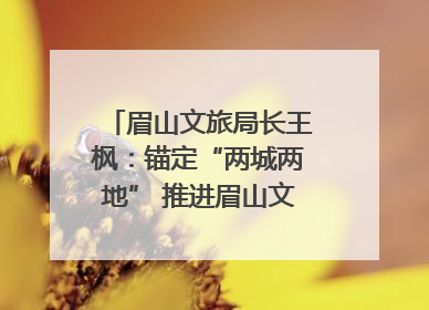 眉山文旅局长王枫：锚定“两城两地” 推进眉山文旅融合高质量发展｜文旅局长说